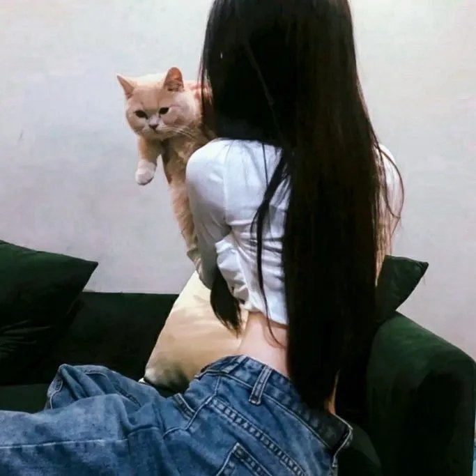 反诈骗行动组